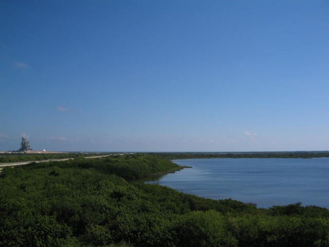 Original image