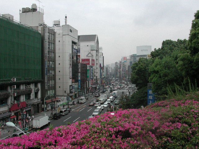Original image