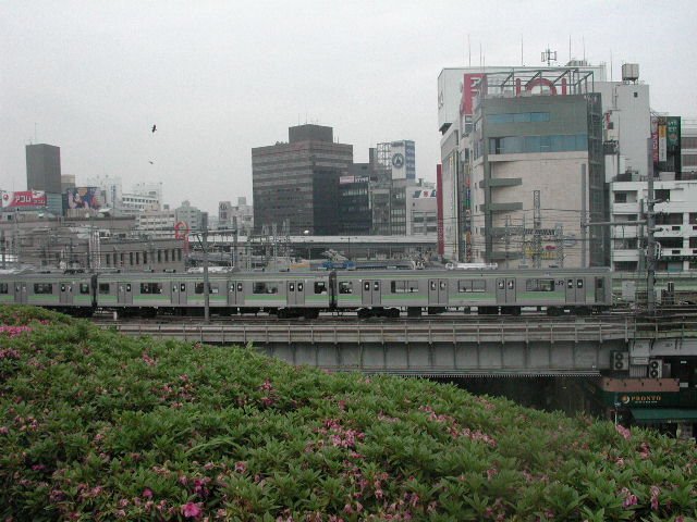 Original image