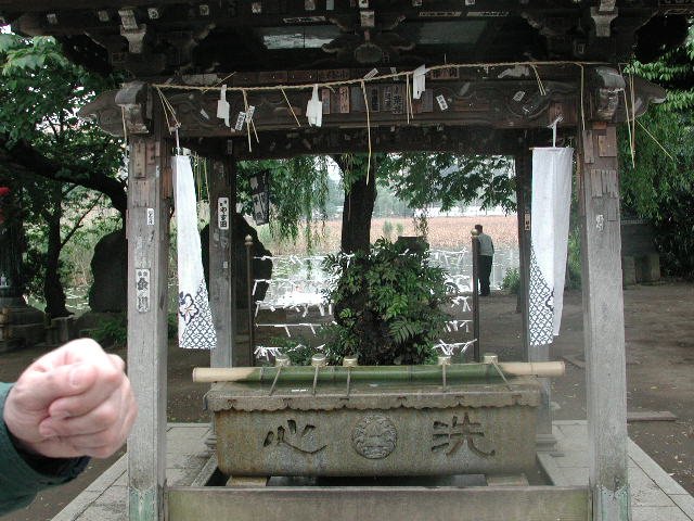 Original image