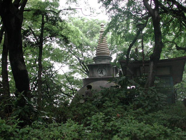 Original image