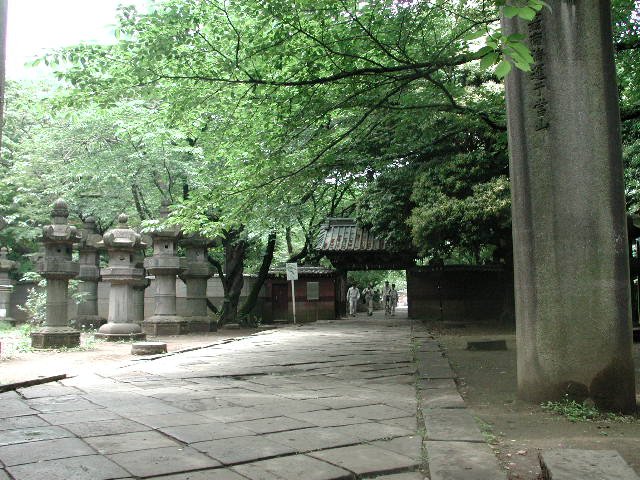 Original image