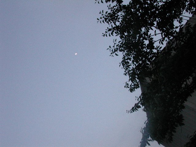 Original image
