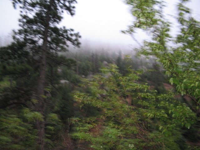 Original image