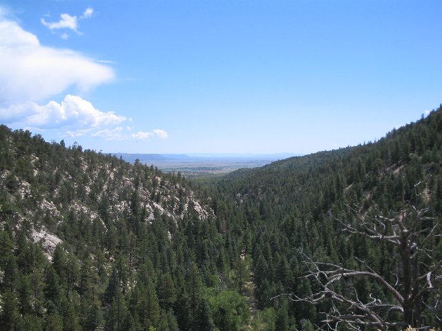 Original image