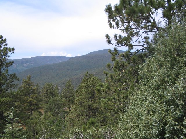 Original image