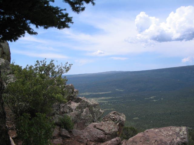 Original image