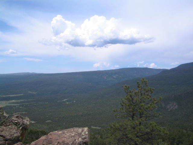 Original image