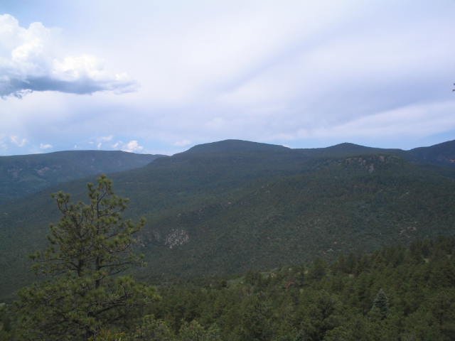 Original image