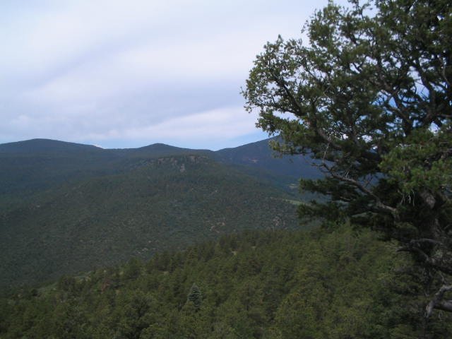 Original image