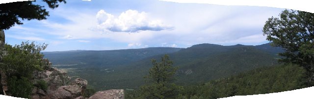 Original image