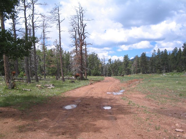 Original image