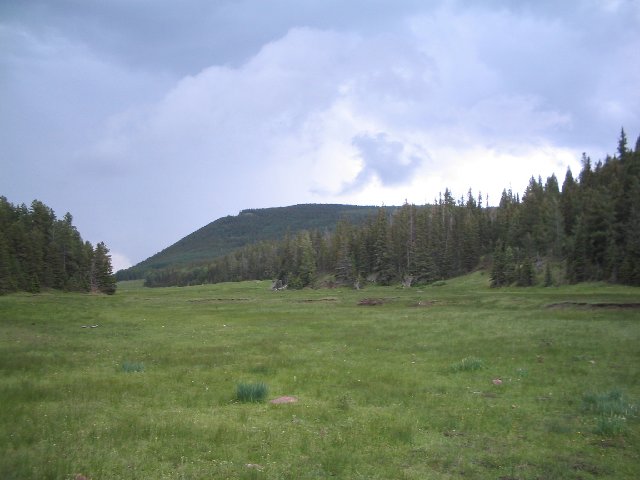 Original image