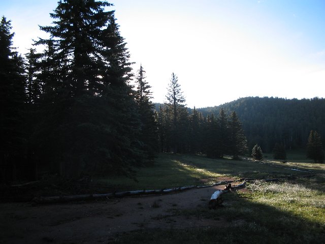 Original image