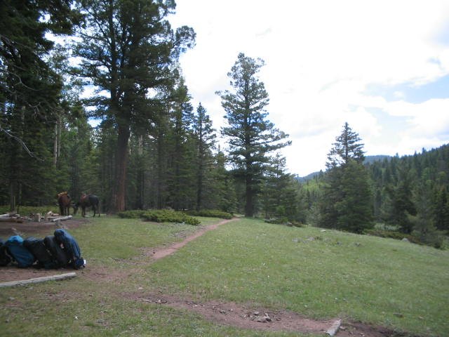 Original image