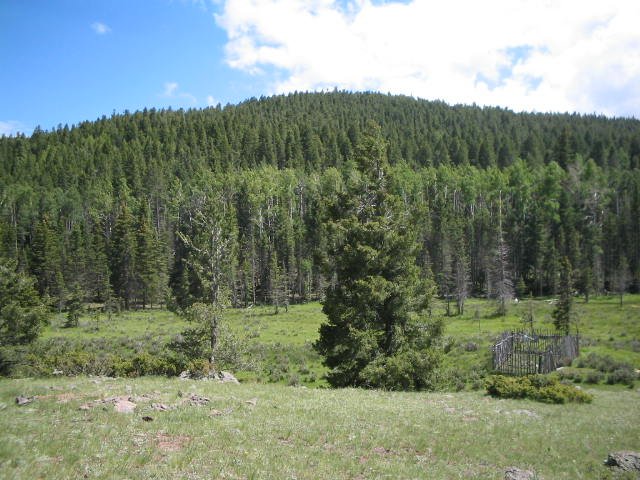 Original image