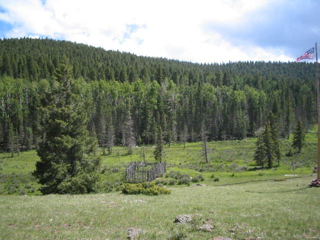 Original image