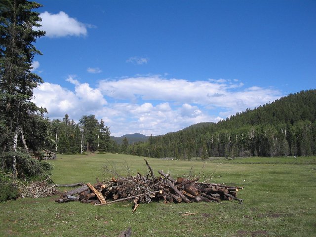 Original image