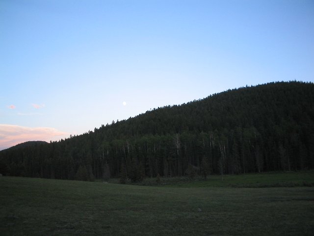 Original image