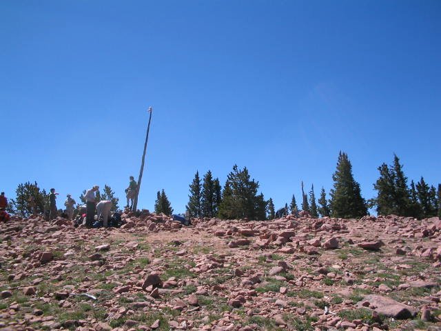 Original image
