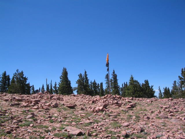 Original image