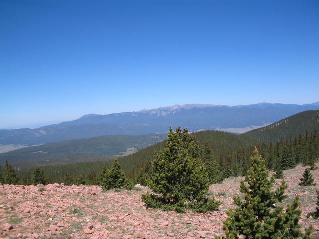 Original image
