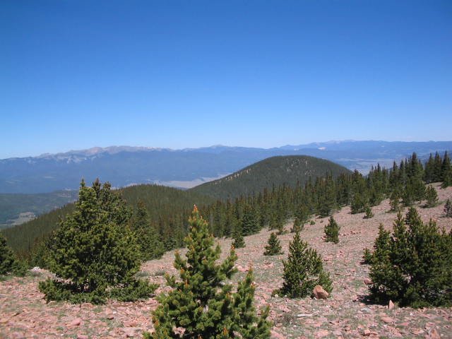 Original image