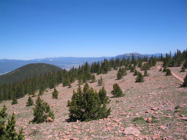 Original image