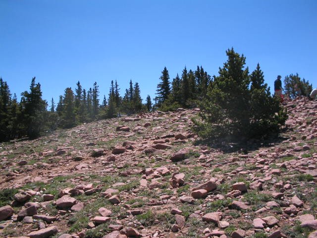 Original image