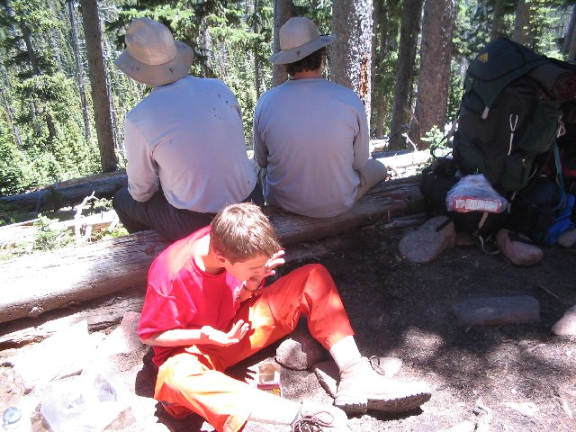 Original image