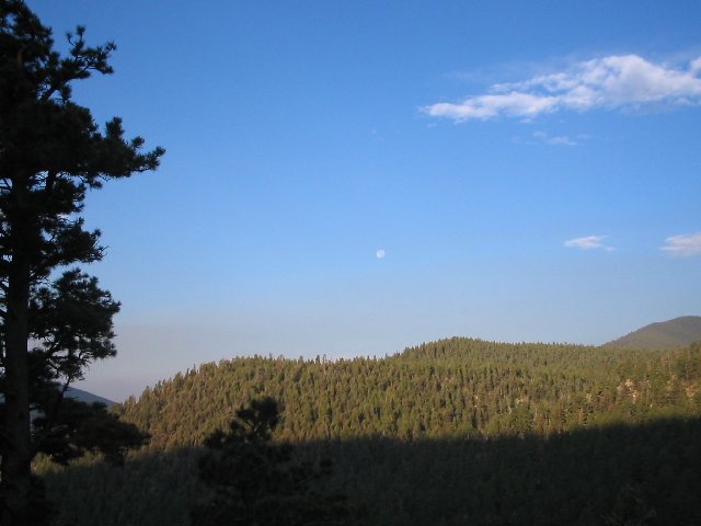 Original image