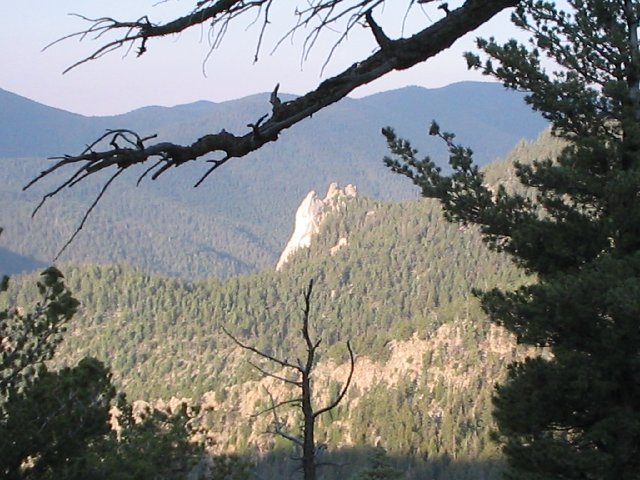 Original image