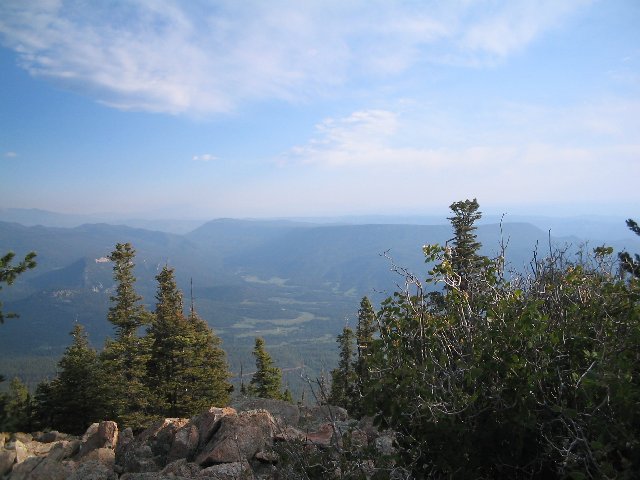 Original image