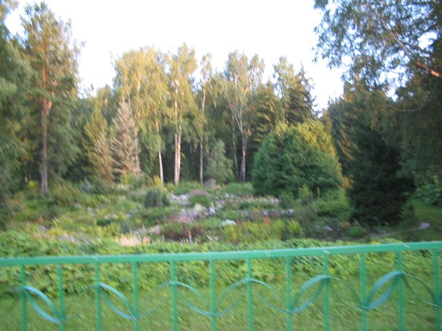 Original image