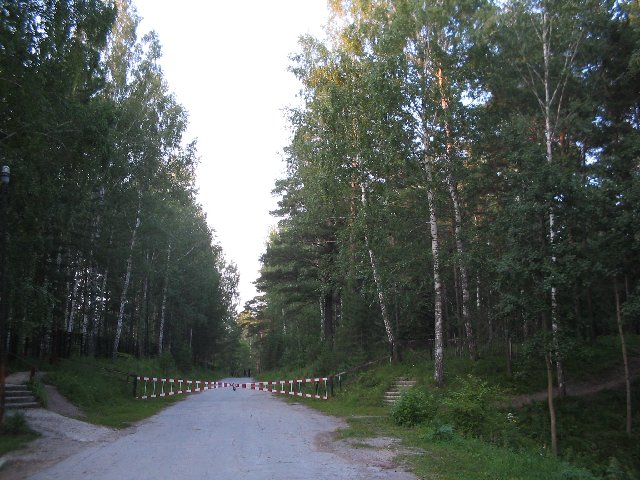 Original image