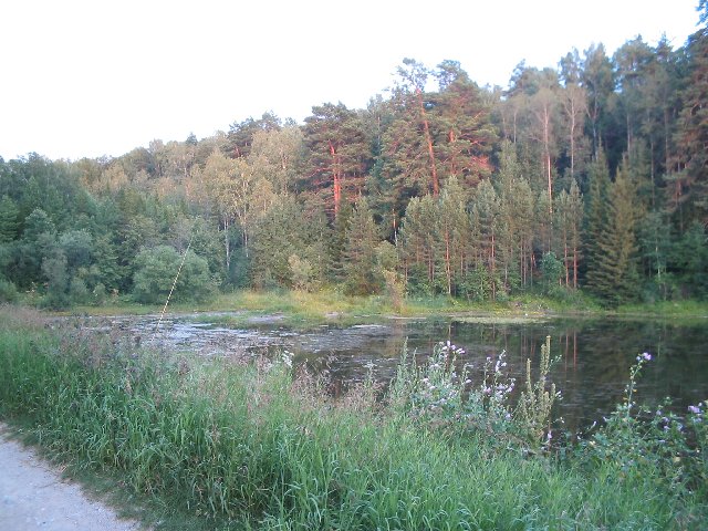 Original image