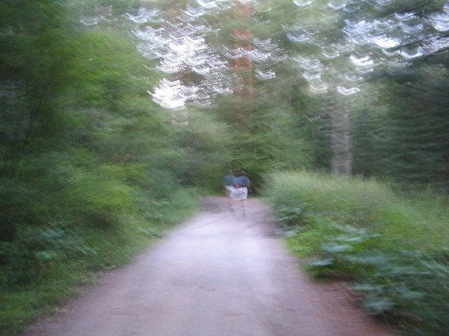 Original image