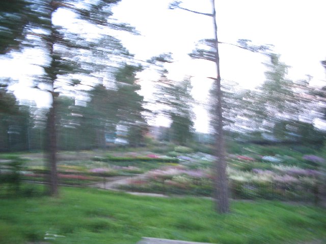 Original image