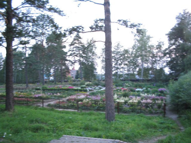 Original image