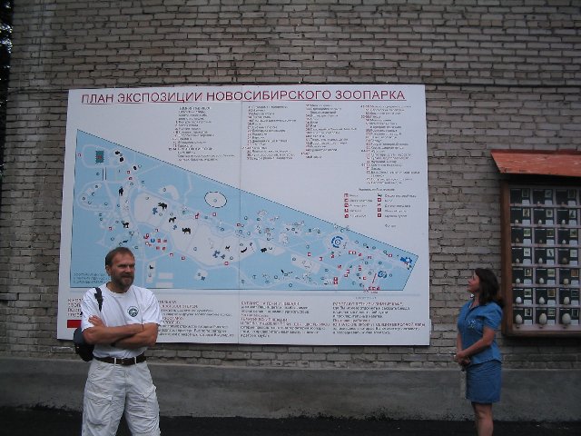 Original image