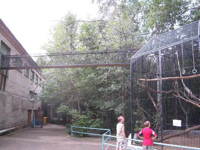 Original image