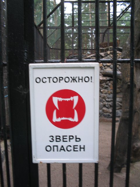 Original image