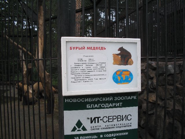 Original image
