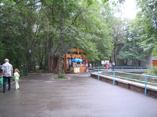 Original image