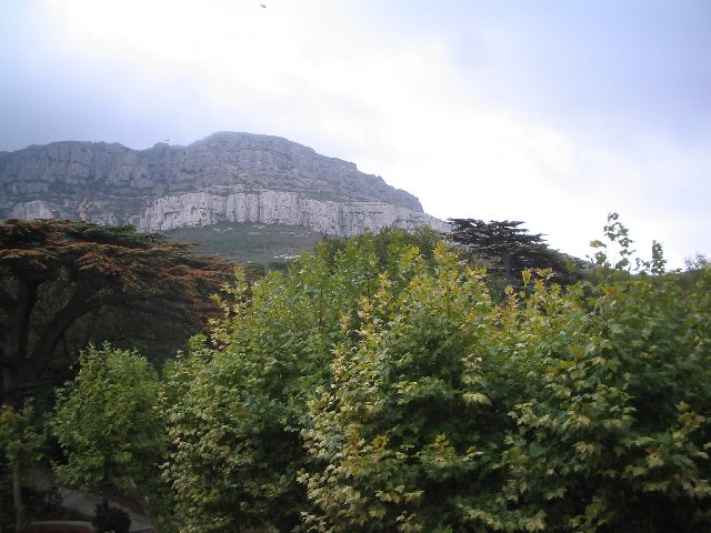 Original image