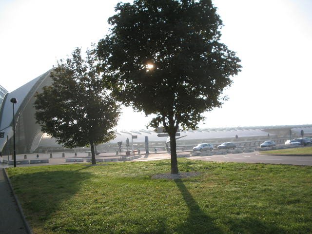 Original image