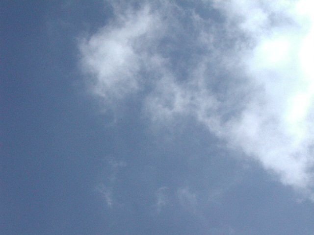 Original image