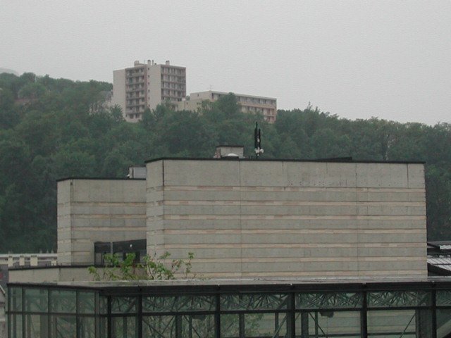 Original image