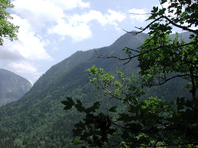 Original image