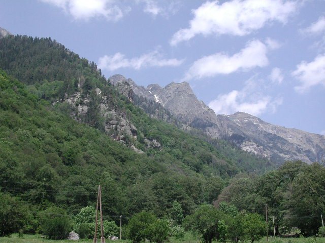 Original image